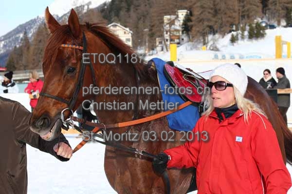 ET0Q1187 prot